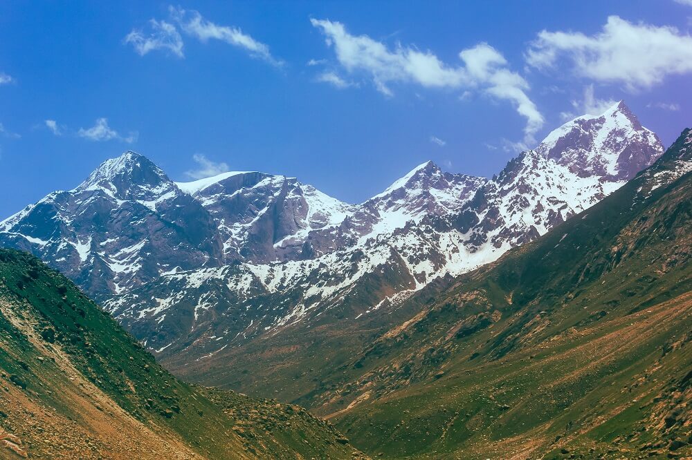 Fotografie trhaní plodů goji v keře v Tibetu pro Himalyo.
